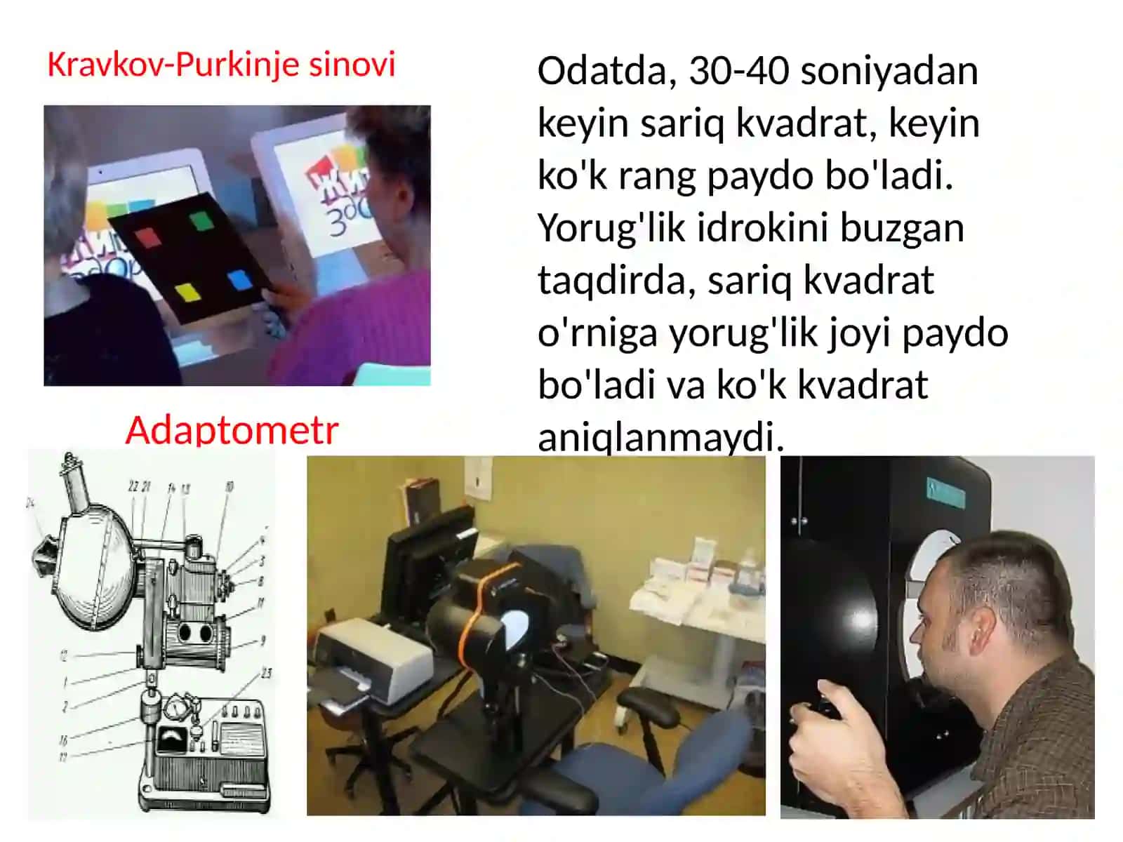 Ko'rish organining funktsiyalari. Tadqiqot usullari 4