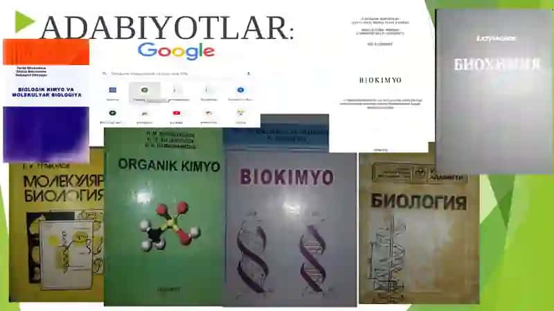 BIOLOGIK KIMYO VA MOLEKULYAR BIOLOGIYA FANINING BOSHQA FANLAR BILAN ALOQASI 4