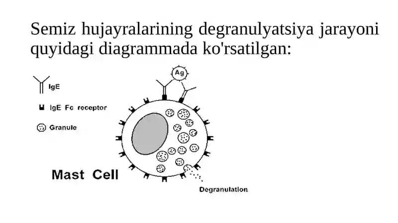 Аутоиммун патологиялар 4