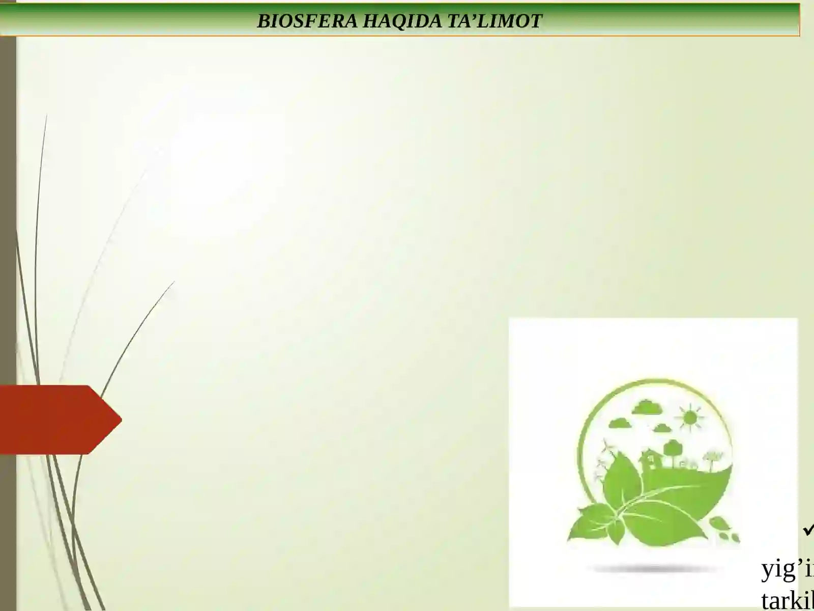 BIOSFERA VA UNING TUZILISHI 4