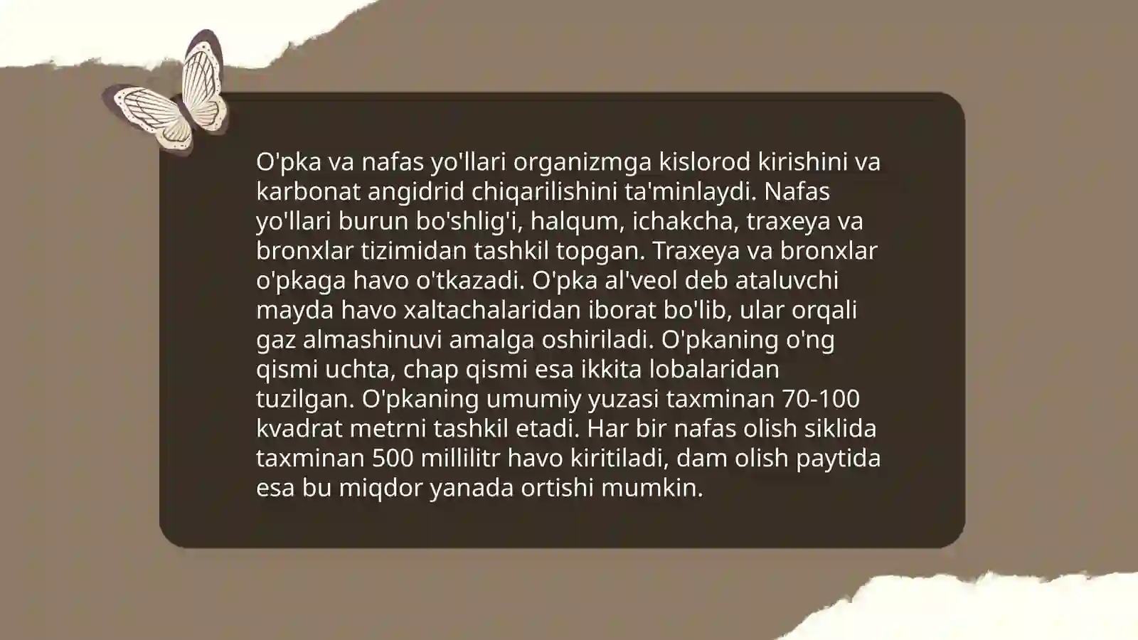 Nafas olish fiziologiyasi 4