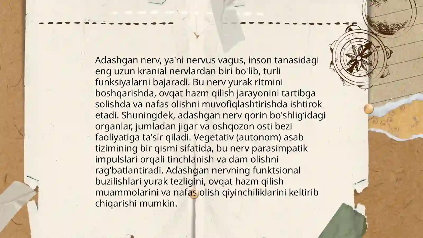 Adashgan nerv 4