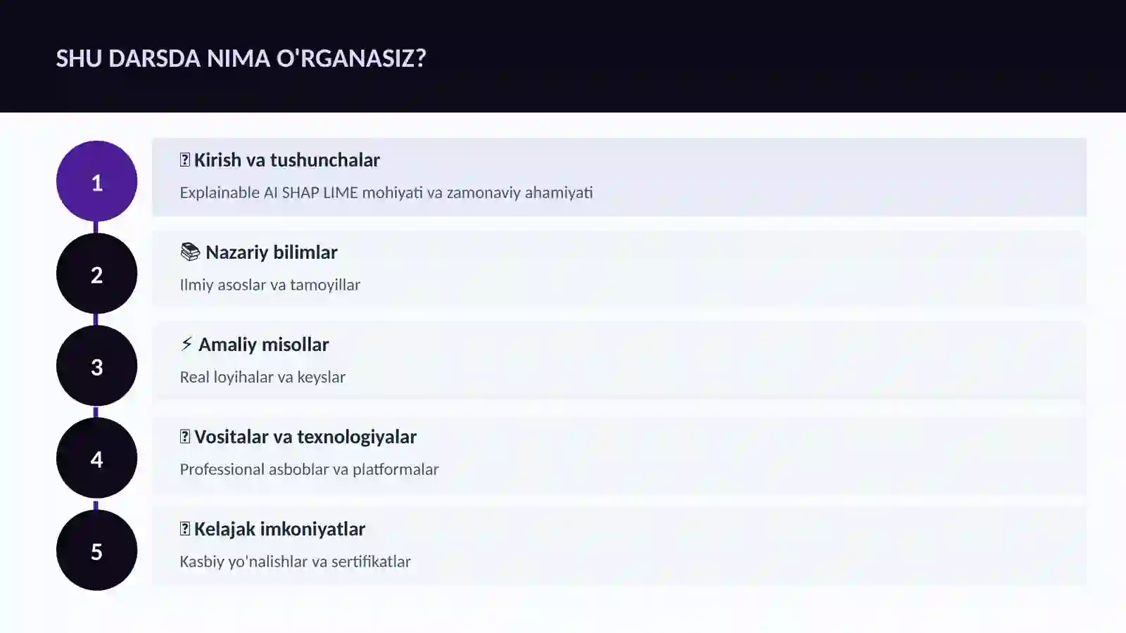 DATA SCIENCE VA TAHLIL Explainable AI SHAP LIME 4