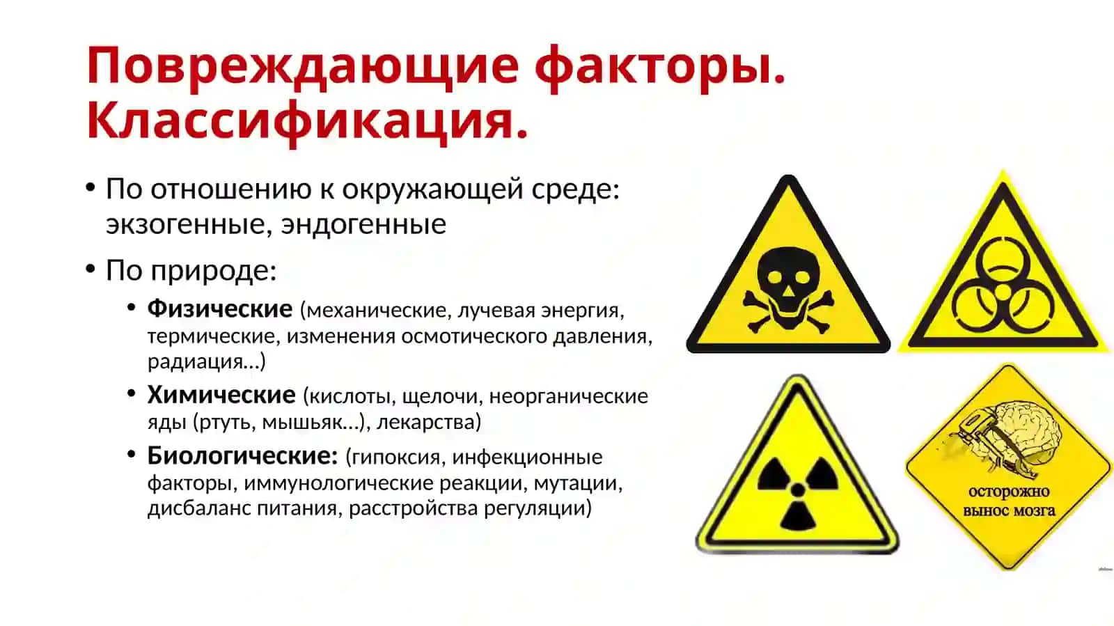 Повреждение, Некроз, Апоптоз 4