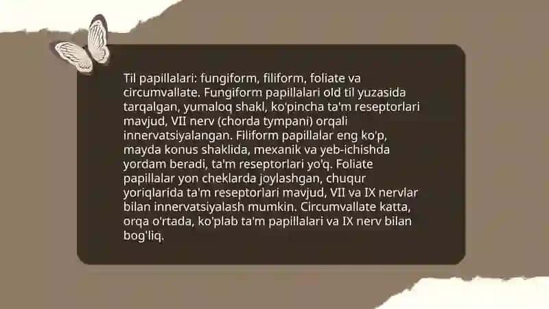Tam bilish va hid bilish azolarining funksional anato'miyasi 4