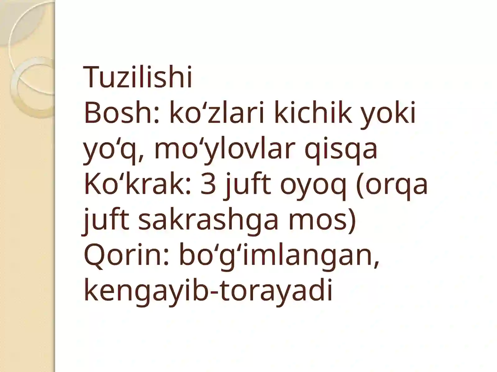 BURGALAR TURKUMI 4
