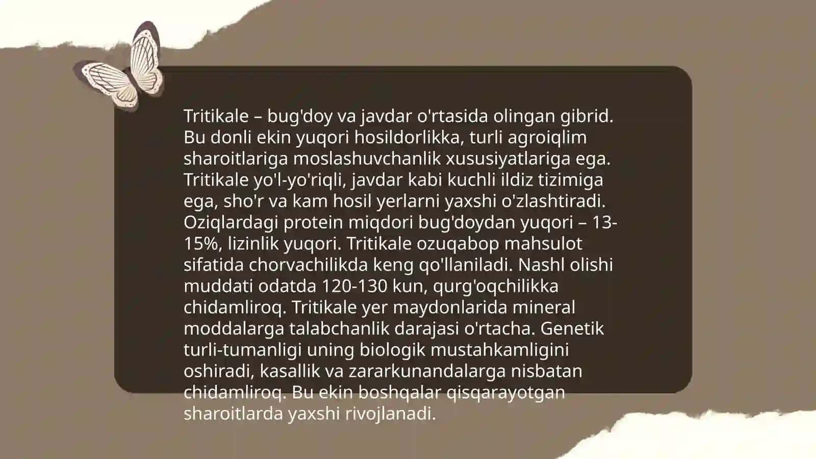 Tritikale biologiyasi va yetishtirish texnologiyasiga oid taqdimot tayyorlash 4