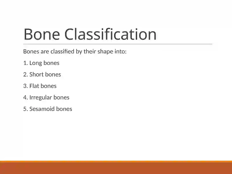 Types of Bones 4