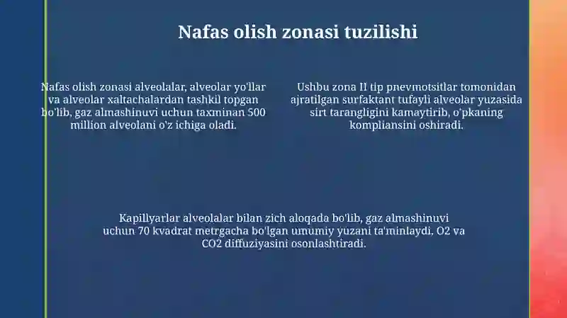Nafas azolaring umumiy morfofunksional tavsifi 4