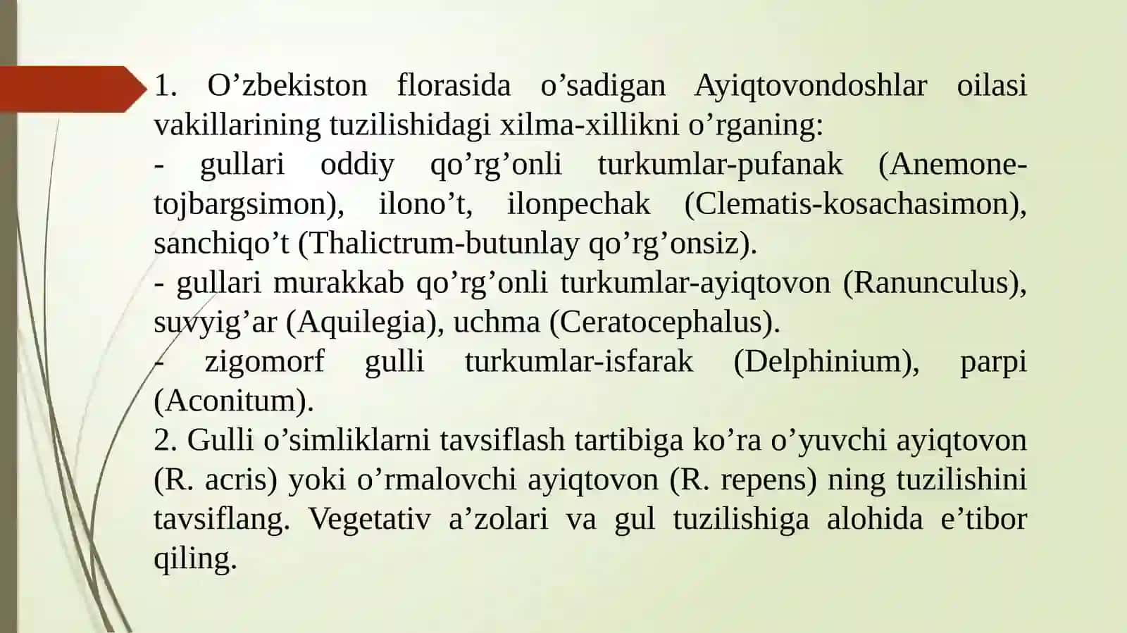 O’yuvchi ayiqtovonning (Ranunculus acris) tuzilishi va ko’payishi 4