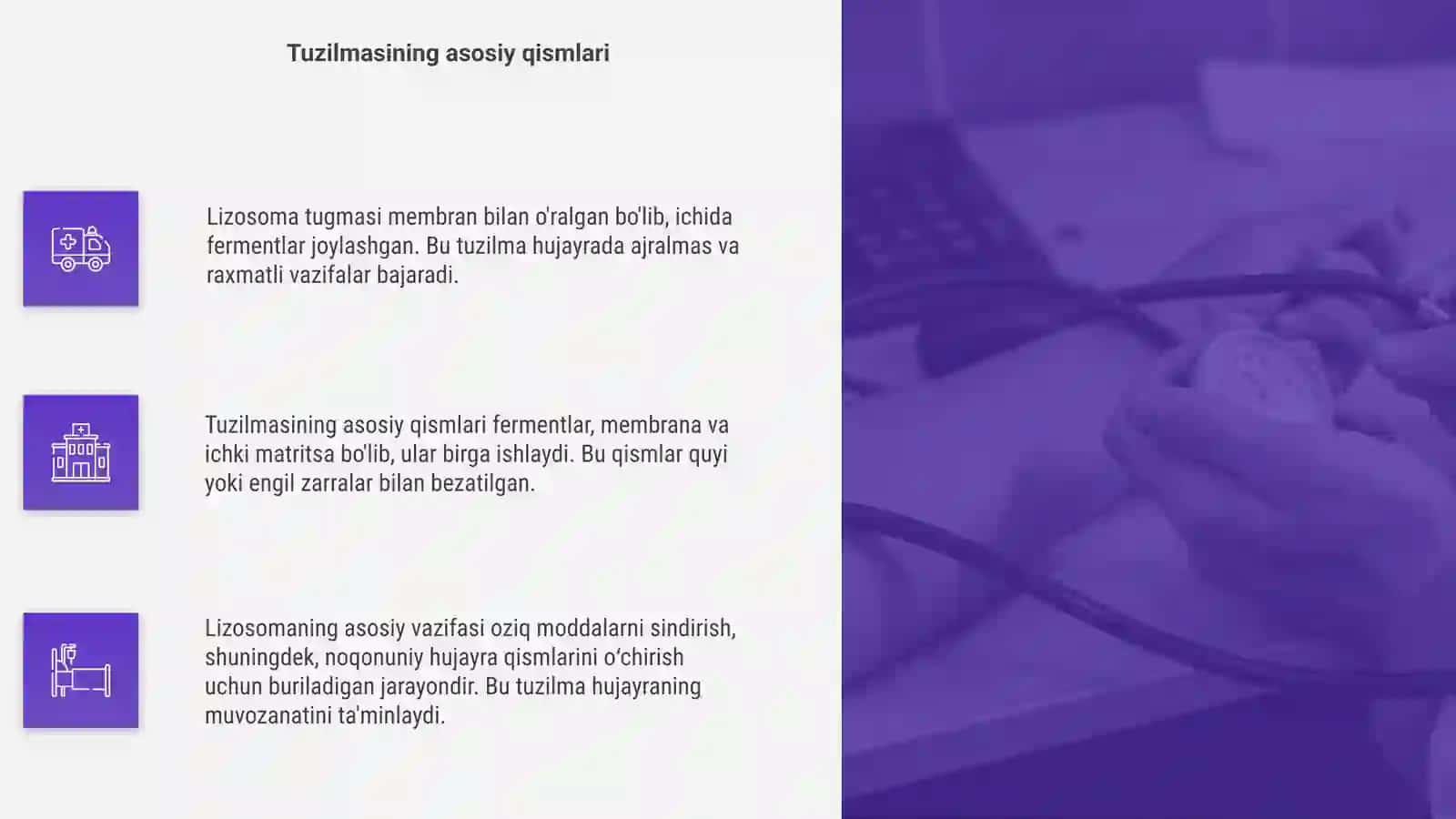 Lizosomaning tuzilishi 4