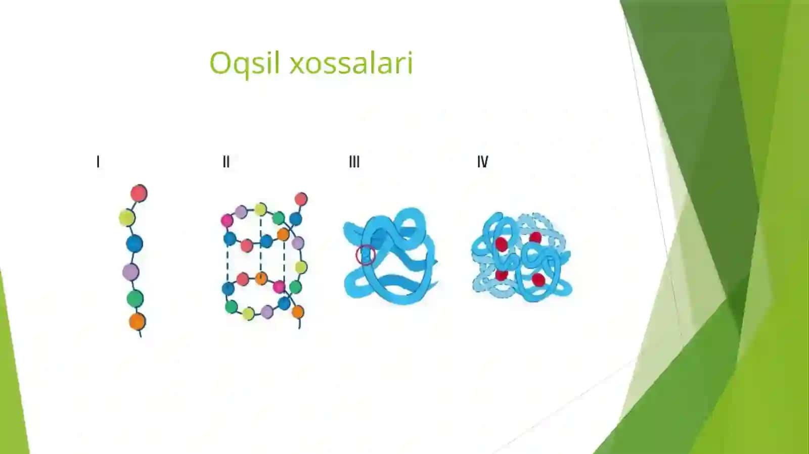 Oqsilalmashinuvi haqida umumiy tushuncha 4