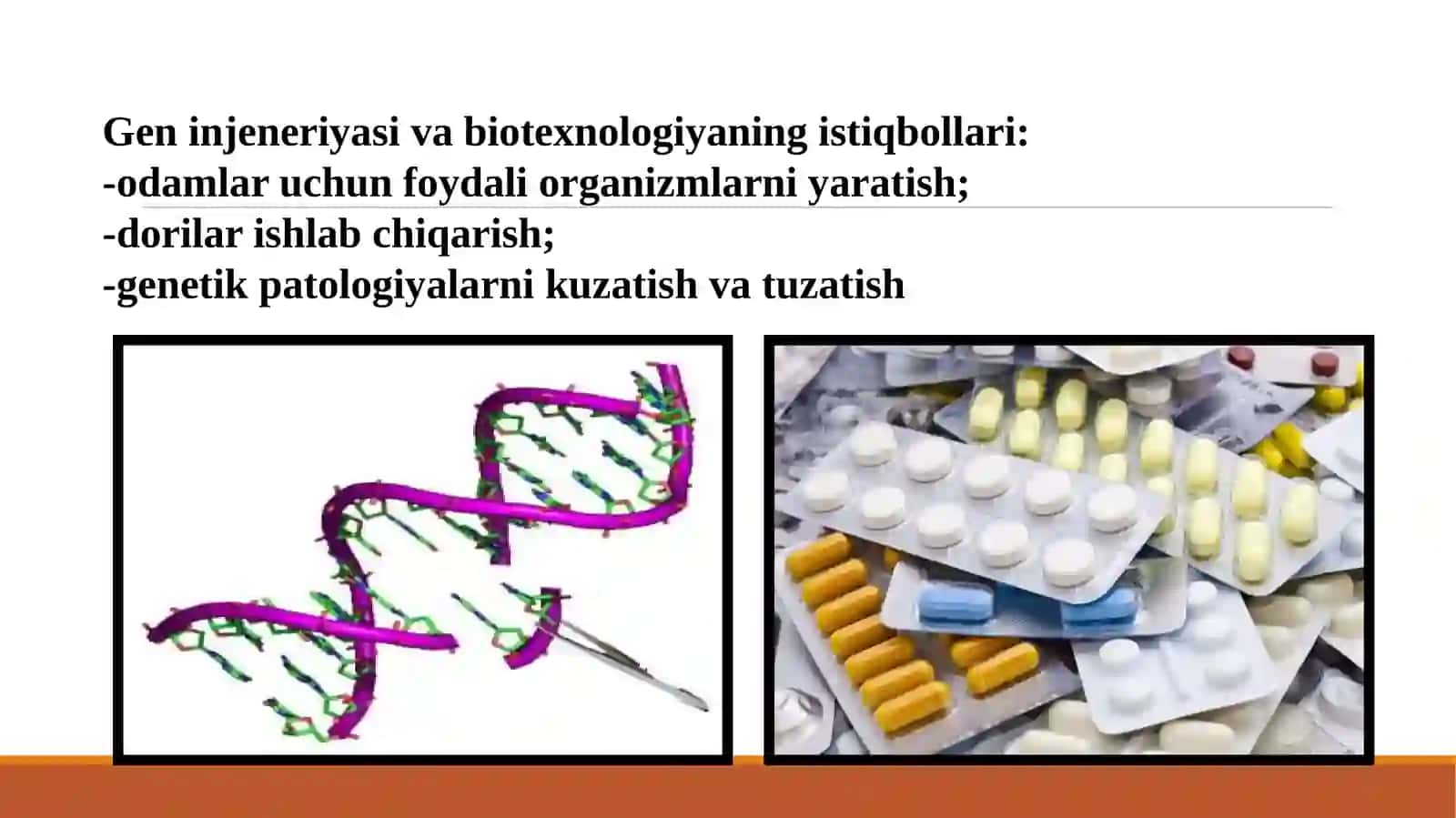 Mikroorganizmlarning gen muhandisligida qo'llanilishi 4