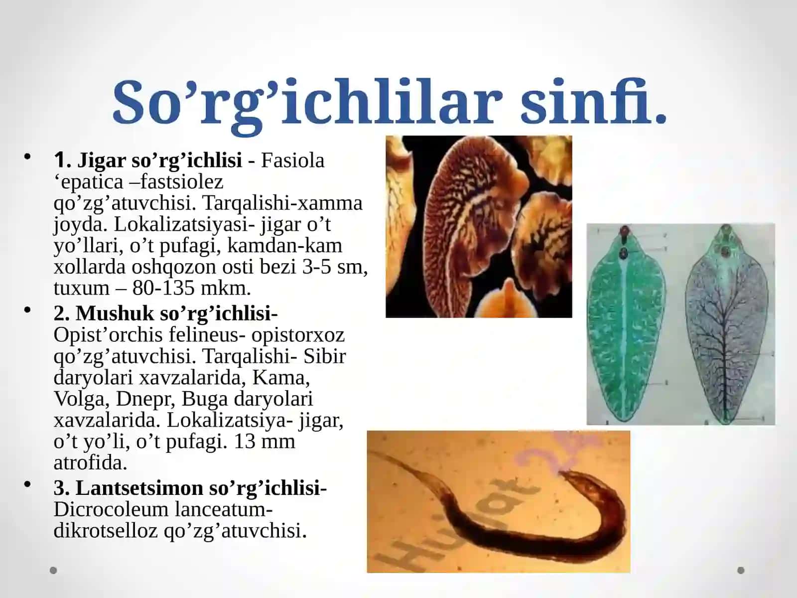 SO‘RG‘ICHLILAR VA TASMASIMON CHUVALCHANGLAR 4