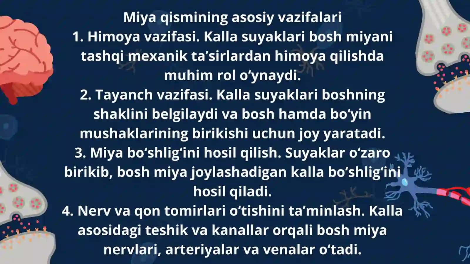 kalla suyagining miya qismi 4