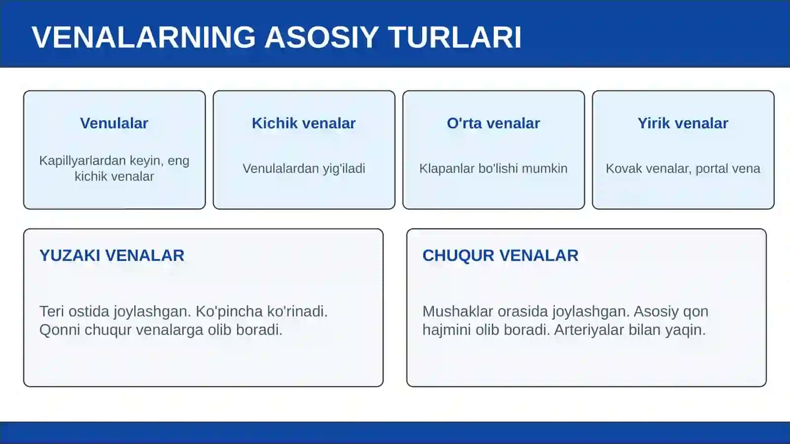 VENA TIZIMINING FUNKSIONAL VA YOSHGA OID ANATOMIYASI 4