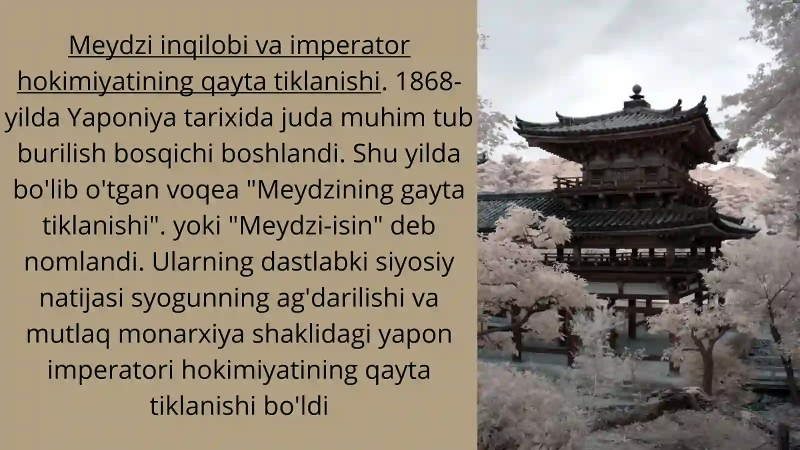 Yangi davrda Yaponiya 4