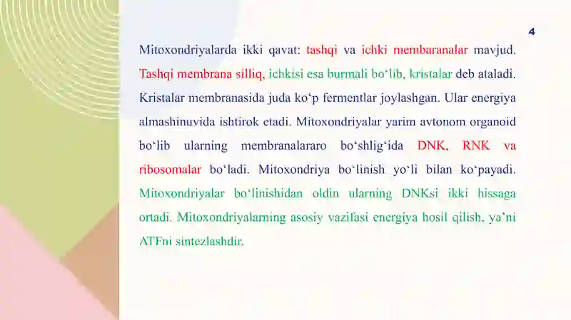 Hujayra organoidlari; 4