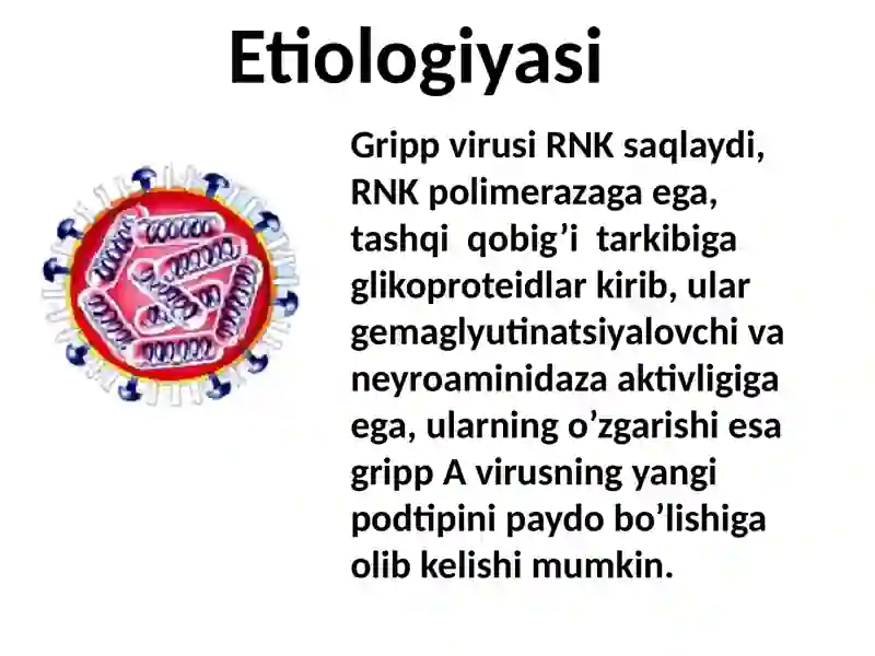 GRIPP.O’RVI 4