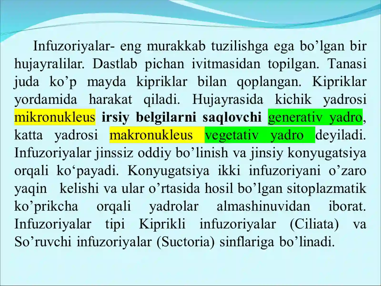 Infuzoriyalar tipi 4
