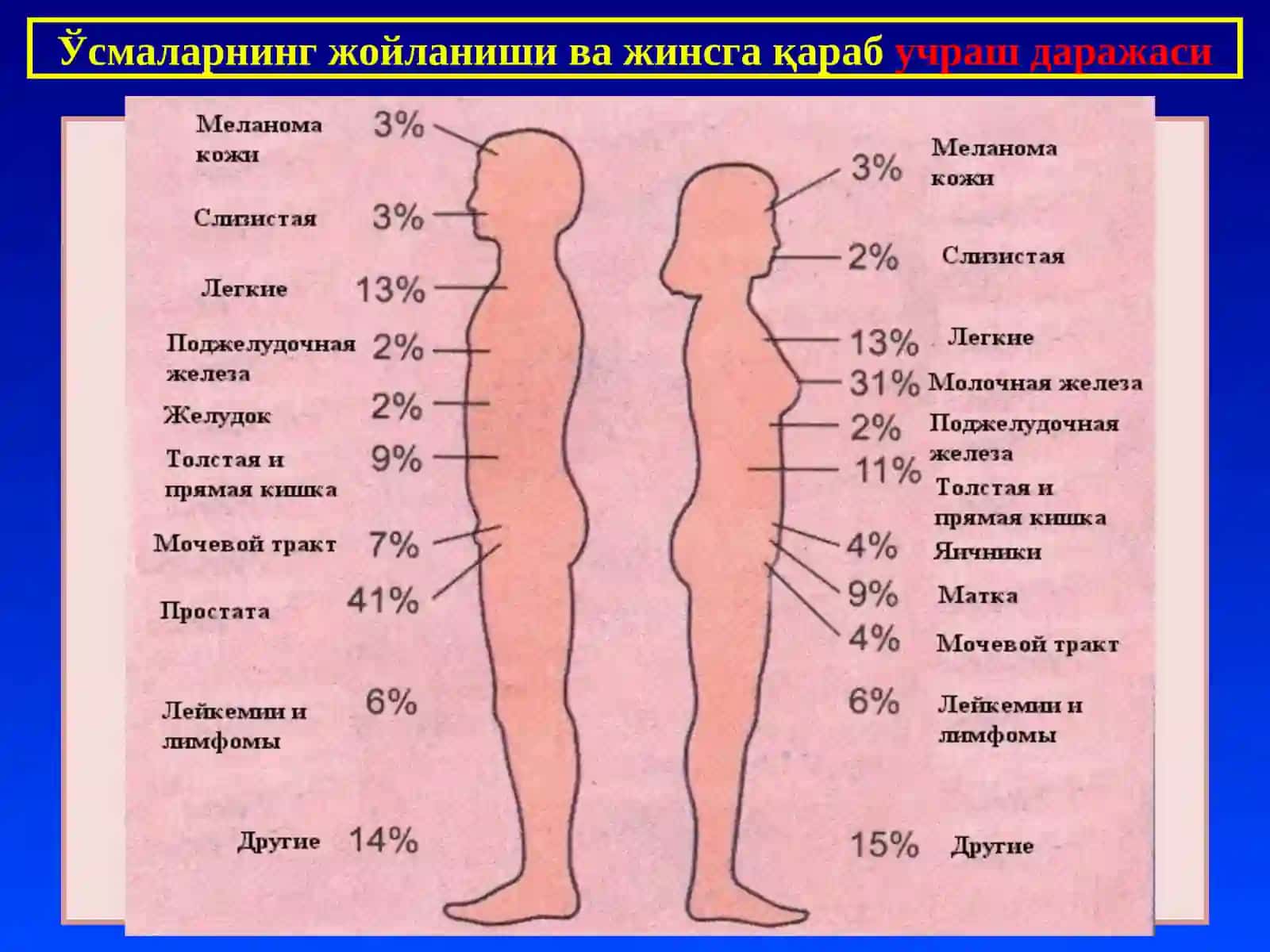 ПАТОЛОГИК АНАТОМИЯ 10- маъруза 4