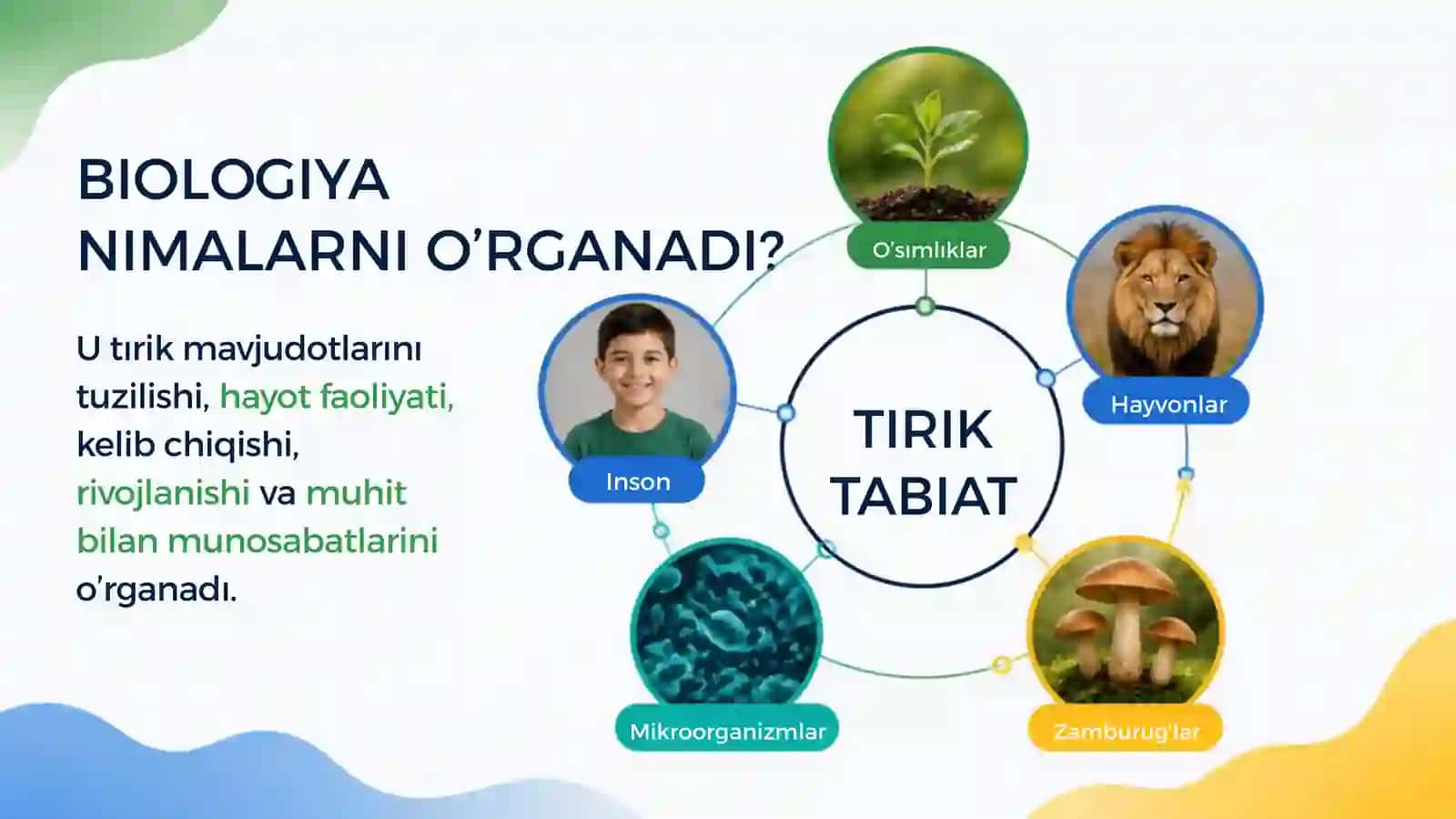 biologiya taqdimot 4