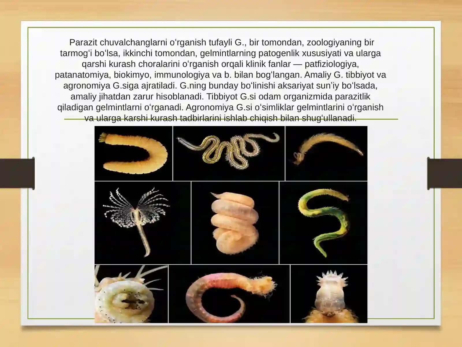 Gelmintologiya 4