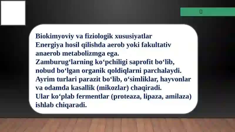 Zamburug'lar. Ularning morfologiyasi, strukturasi va ularni oʻrganish usullari. 4
