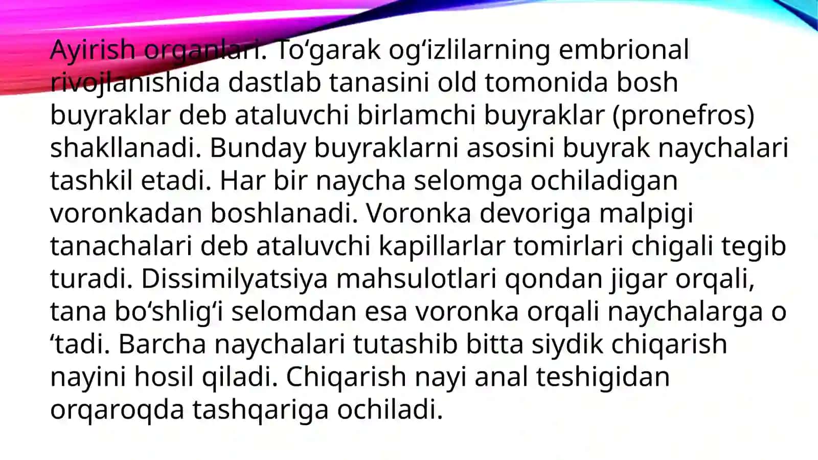 To’garakog’izlilar 4
