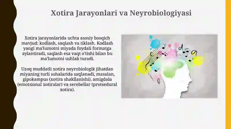 Xotira 4