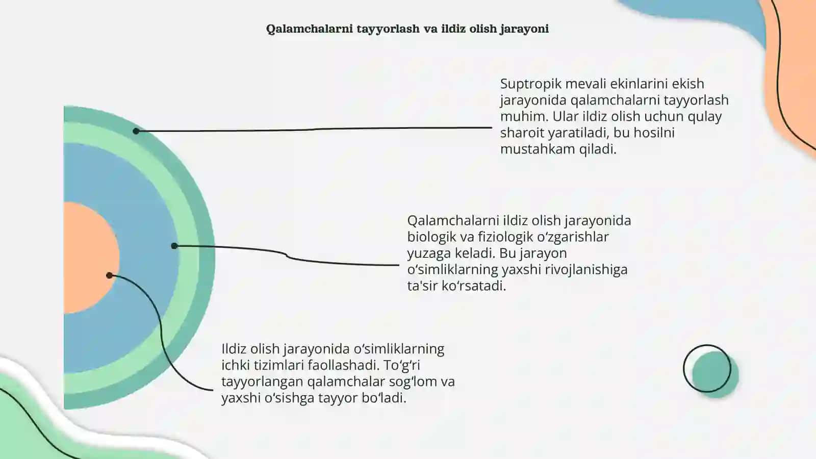 Suptropik mevali ekinlarini ekish qalamchalarini ildiz olish xususiyatlari va ularda sodir bo‘ladigan fiziologik hamda biologik jarayonlar 4