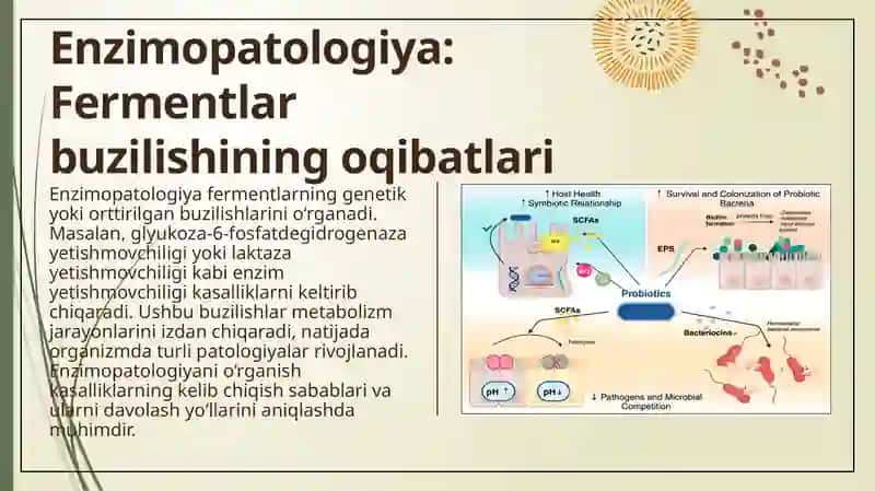 Tibbiy enzimologiya muammolari 4