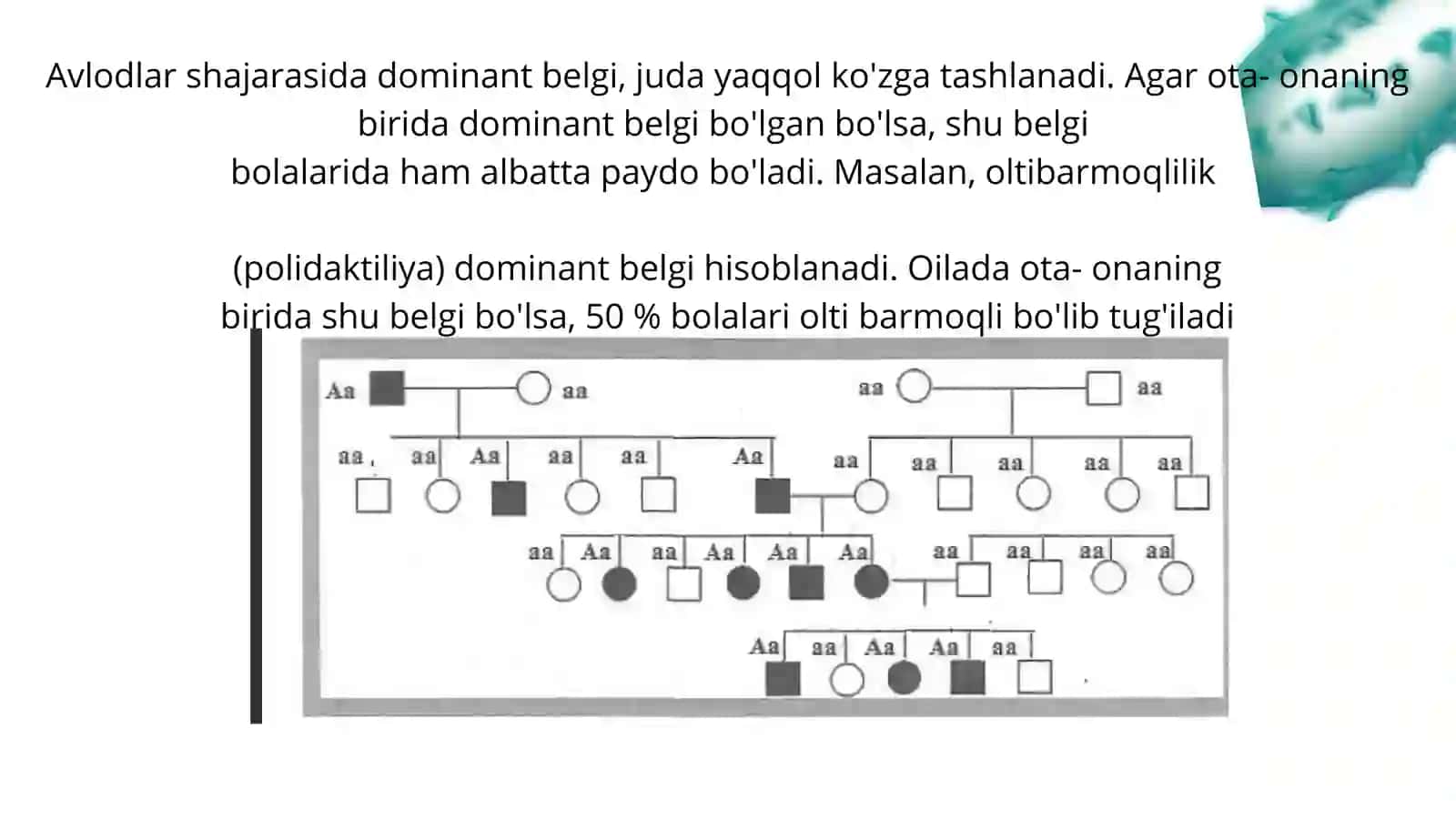 Antropogenetika usullari. Shajara usuli 4