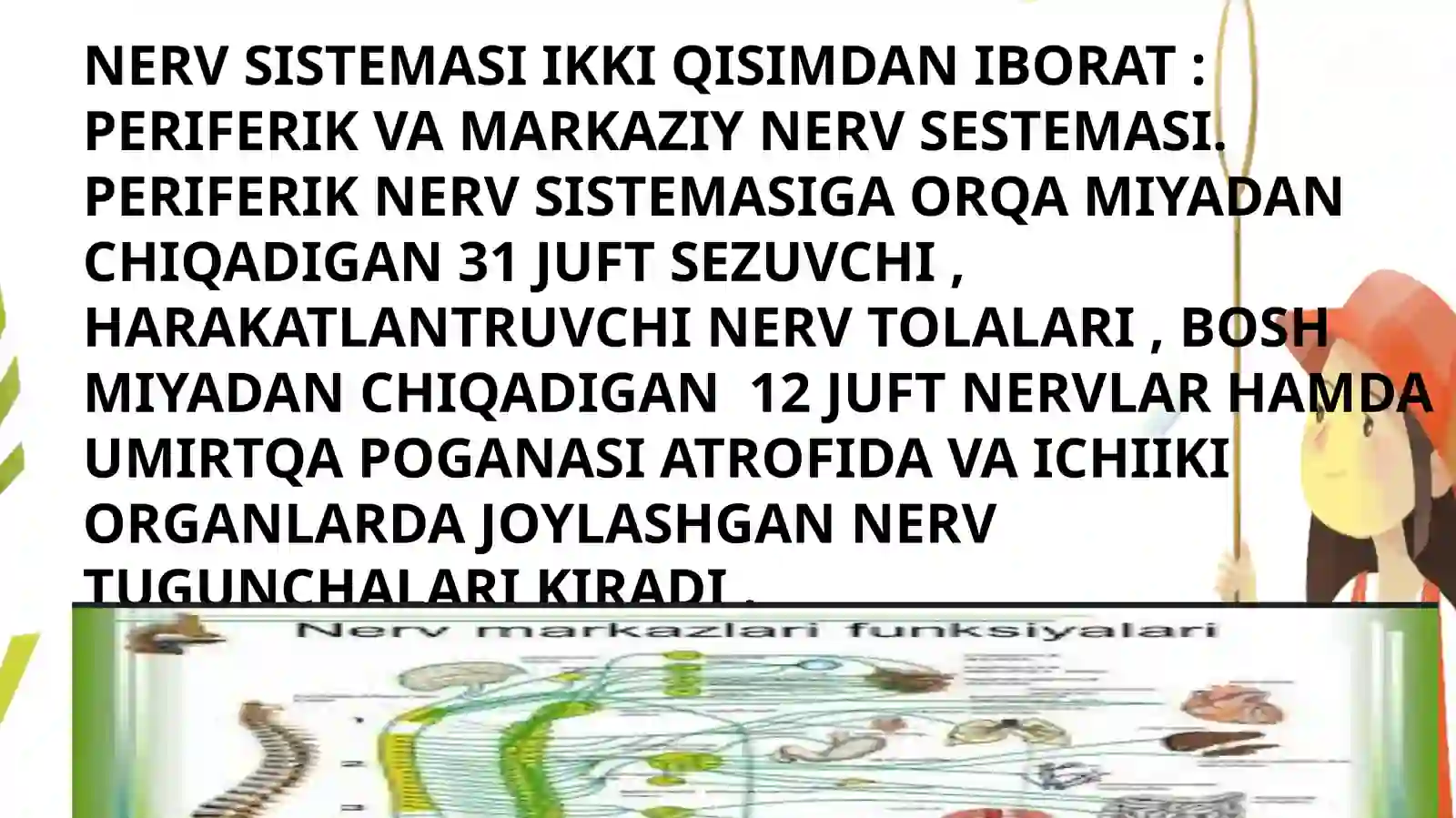 NERV SESTEMASI 4