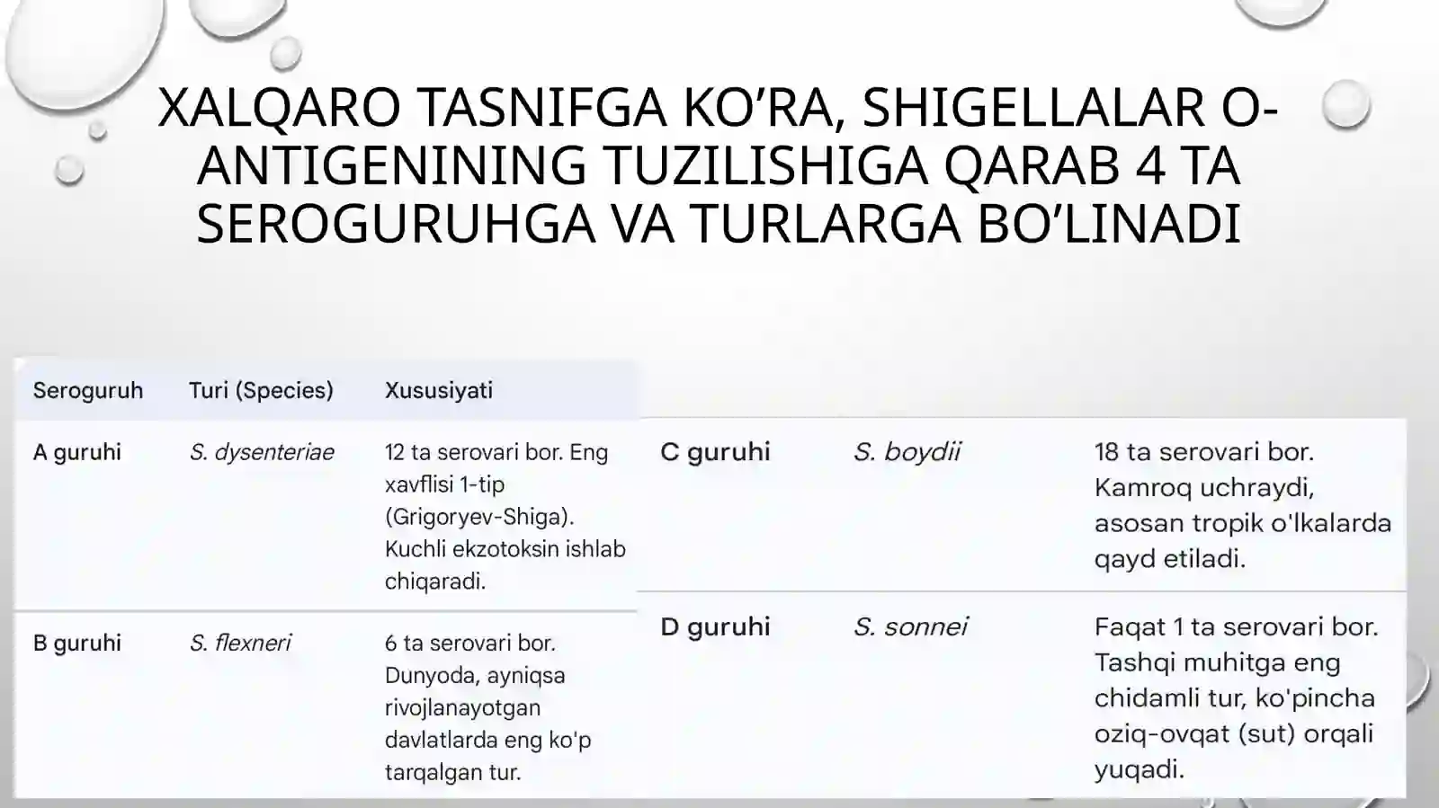 Shigellioz 4