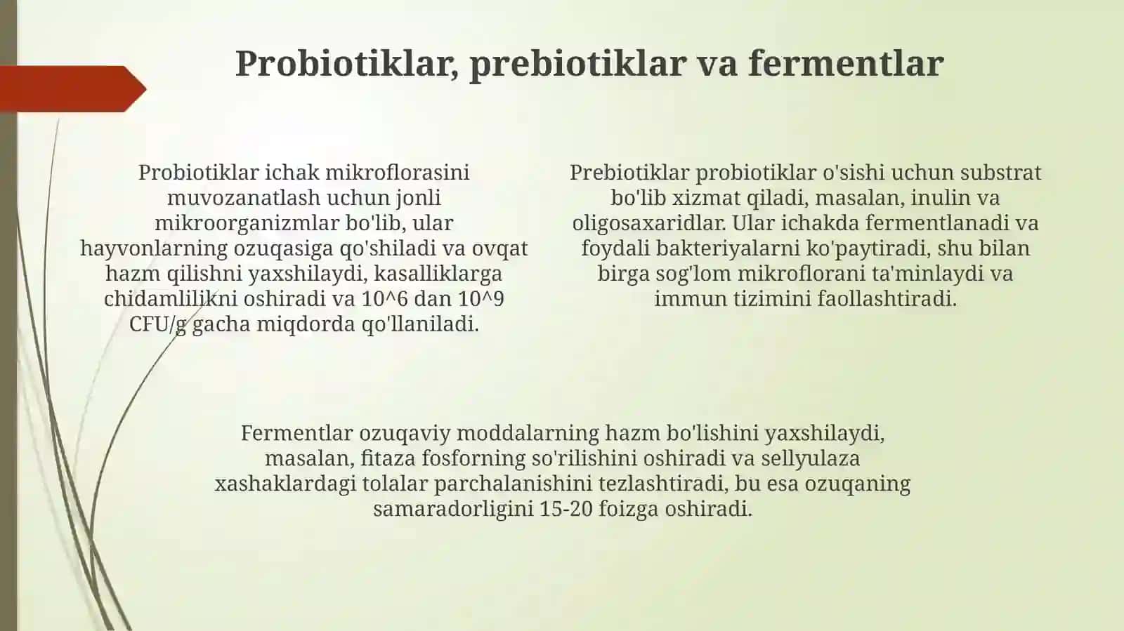 Hayvon oziqalarini qayta ishlashda foydalaniladigan mikroorganizmlar 4