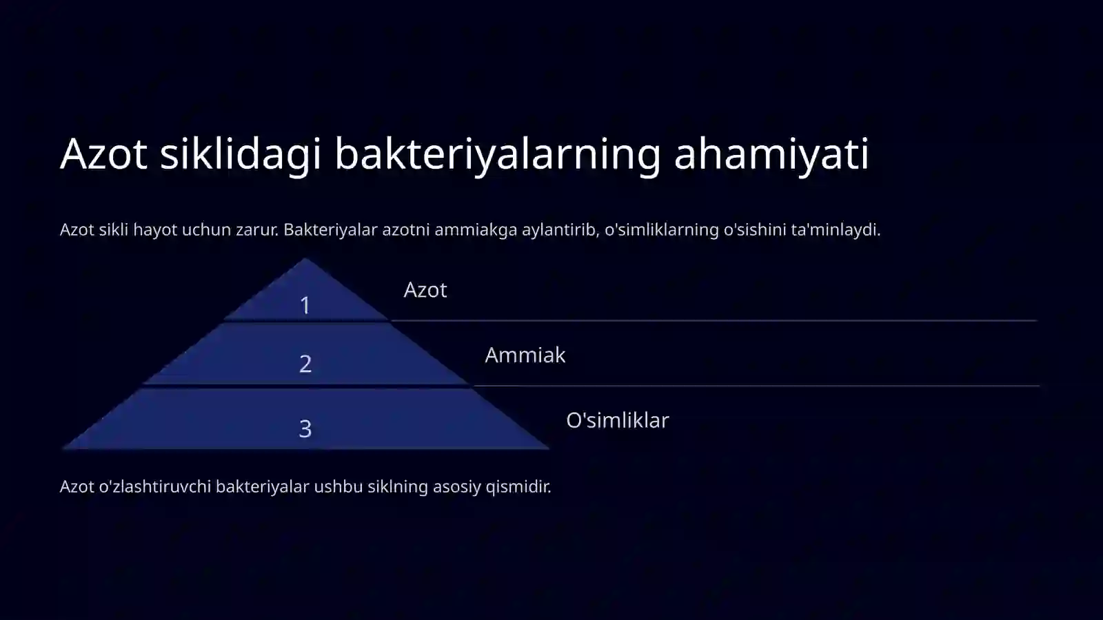 Azot oʻzlashtiruvchi bakteriyalar 4