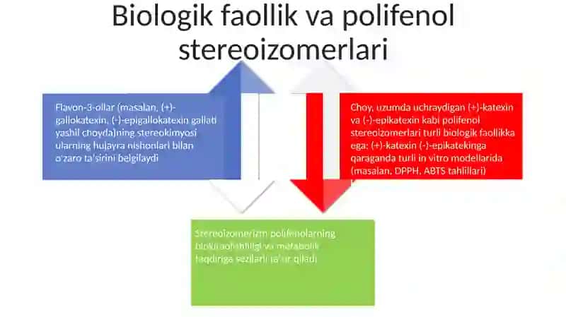 Polifenol Stereoizomeriyasi va uning ahamiyati 4