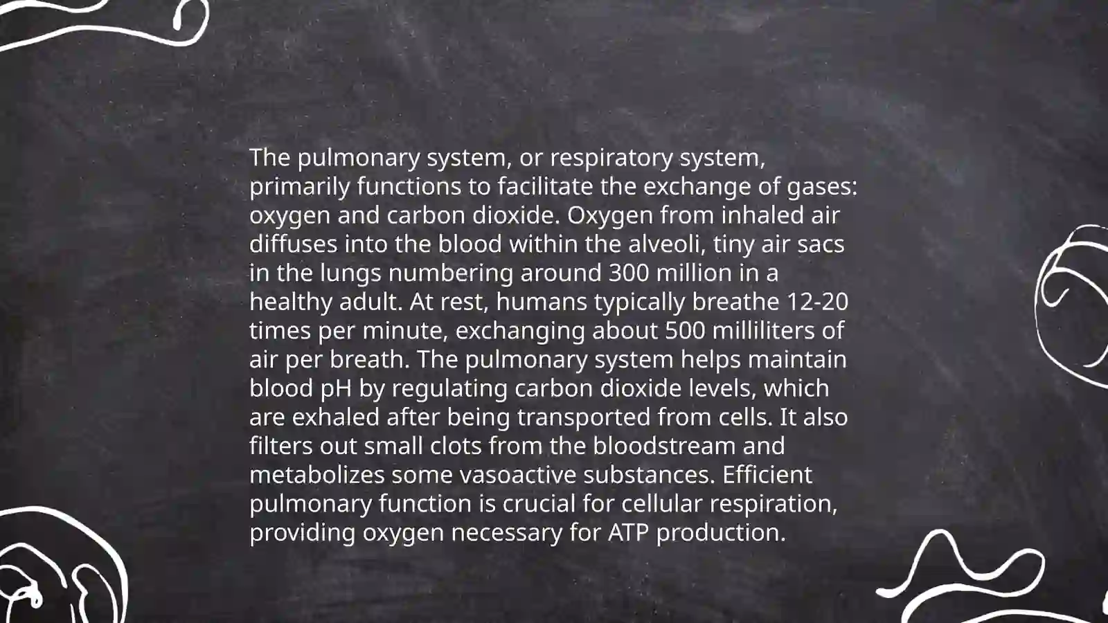 Lungs and a pulmanry system 4