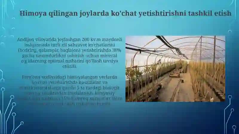 Koʻchat texnologiyalari 4