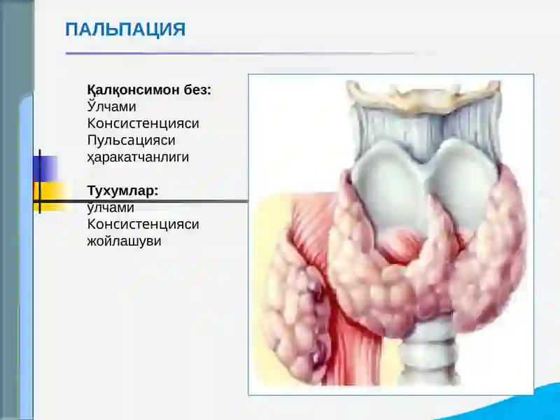 Эндокрин тизими касалликлари 4