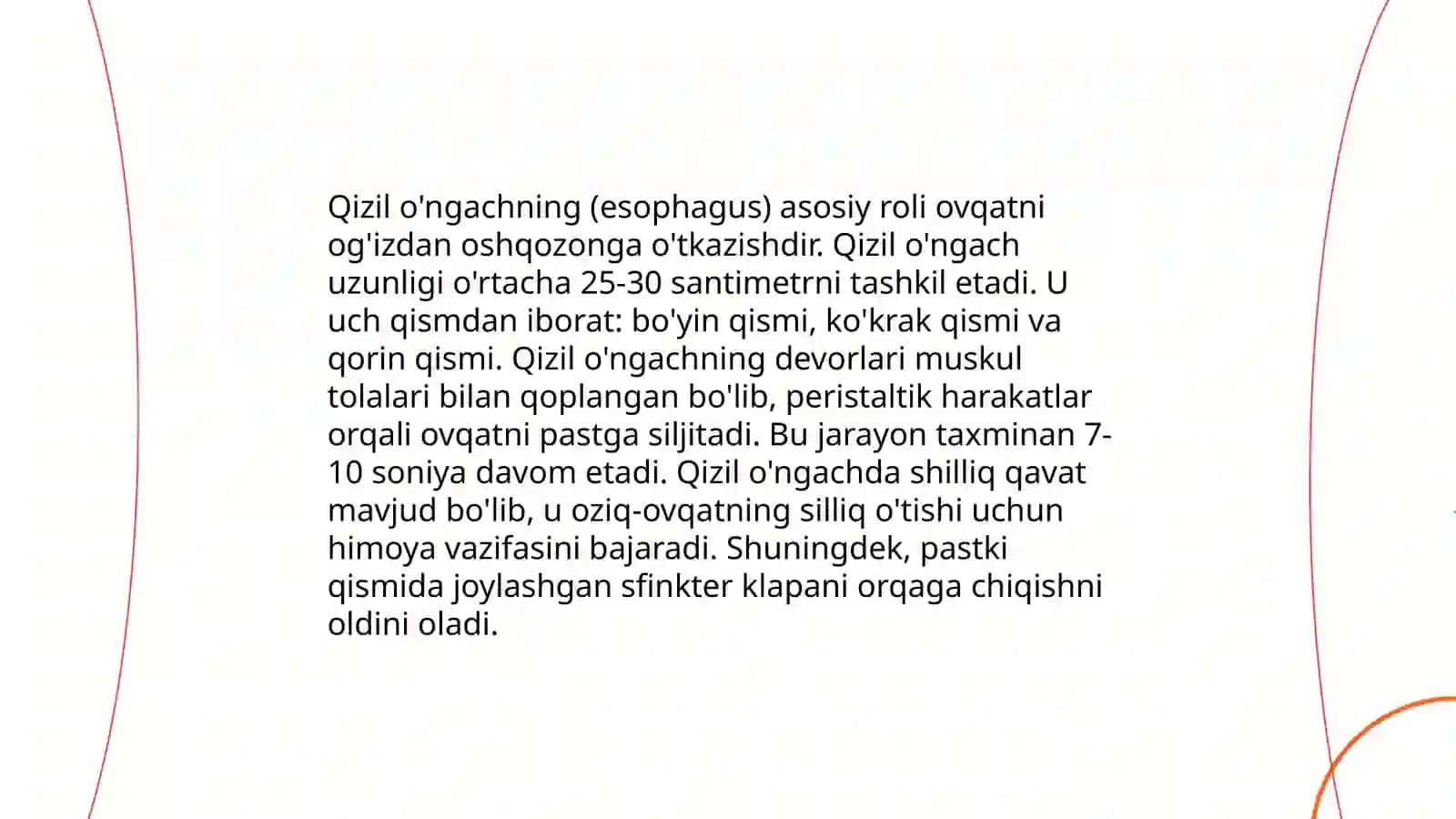 Ovqat hazm qilish (qizil o’ngach, oshqozon, ichak) 4