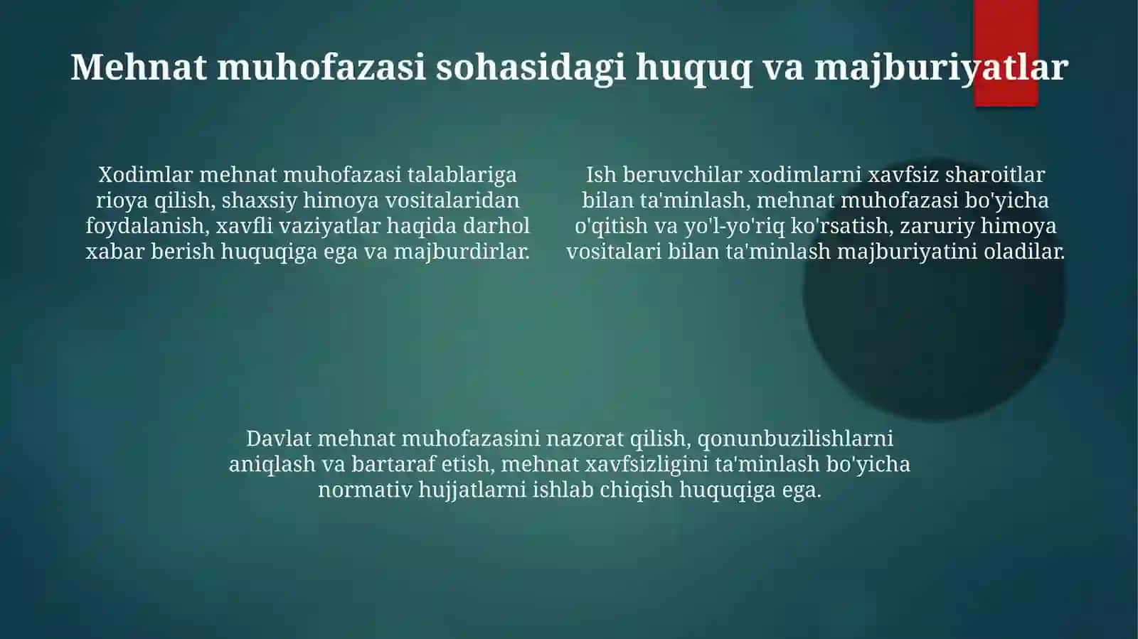 Oʻzbekiston Respublikasi "Mehnatni muhofaza qilish toʻgʻrisidagi" qonun mazmun va mahiyati 4