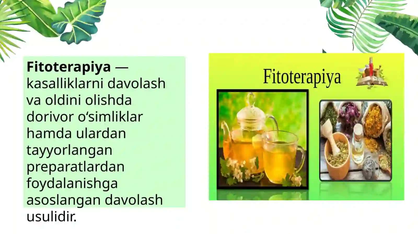 Fitoterapiyani tibbiyotdagi oʻrni 4