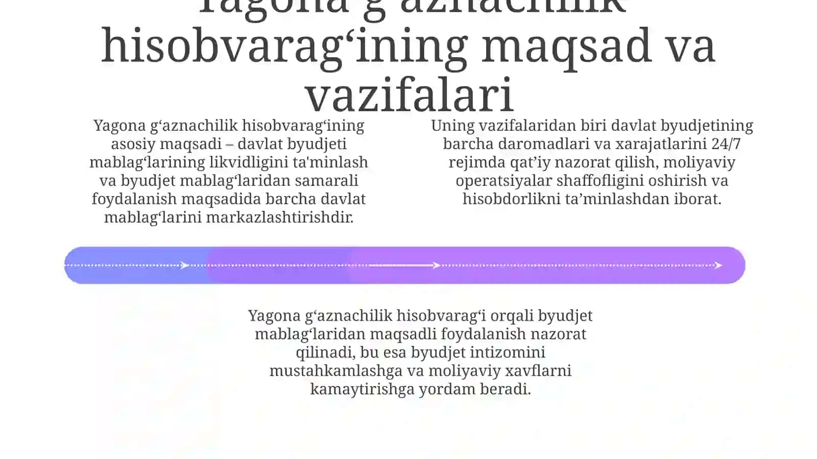 Yagona vakillik hisobvarg'i, uning mazmuni va mohiyati 4