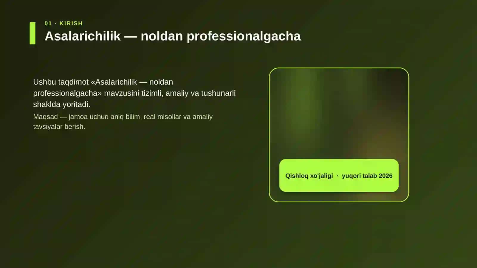 Asalarichilik — noldan professionalgacha 4