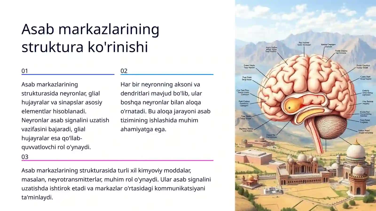 Asab markazlarining o'ziga xosligi 4