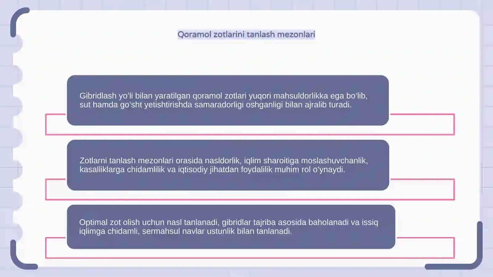 Qoramol zotini tavsifi 4