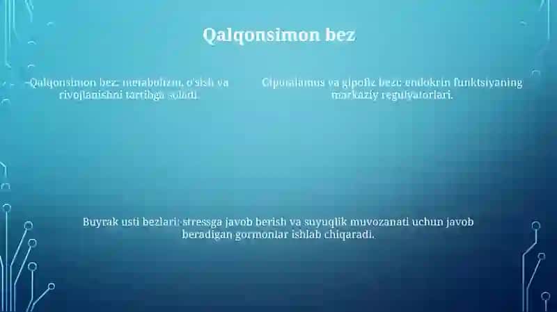Ichki Sekretsiya Bezlari Fiziologiyasi 4