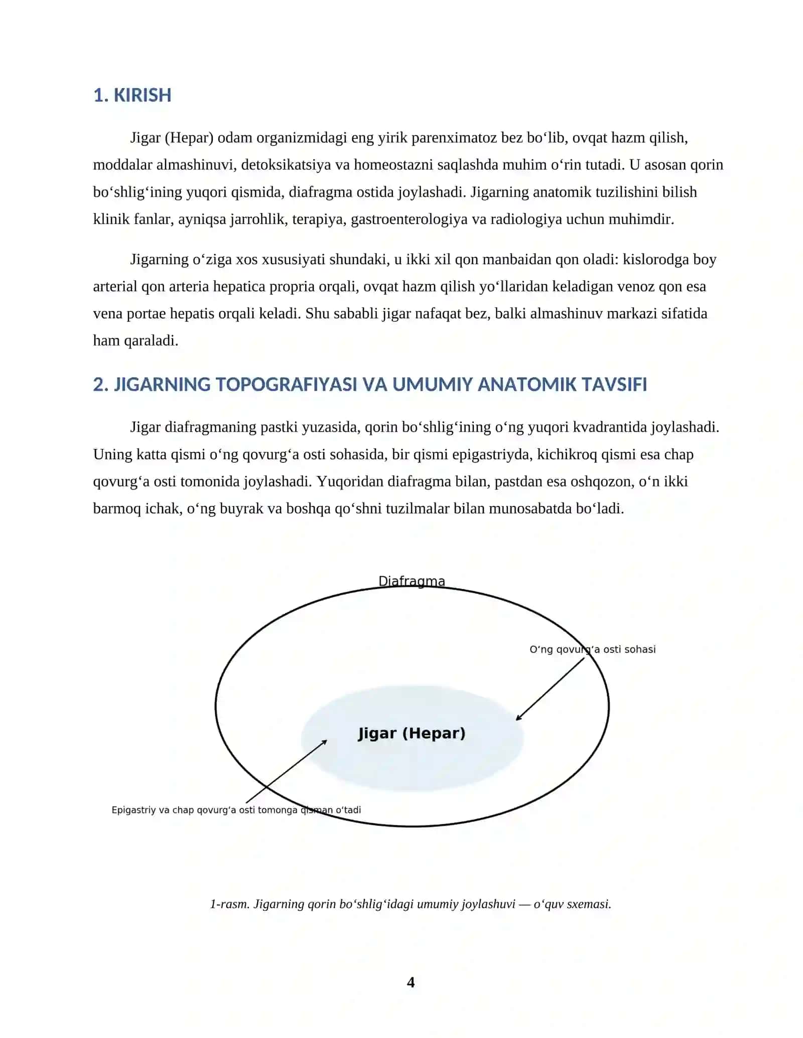 “Jigar (Hepar) — tayyor ilmiy ish” 4